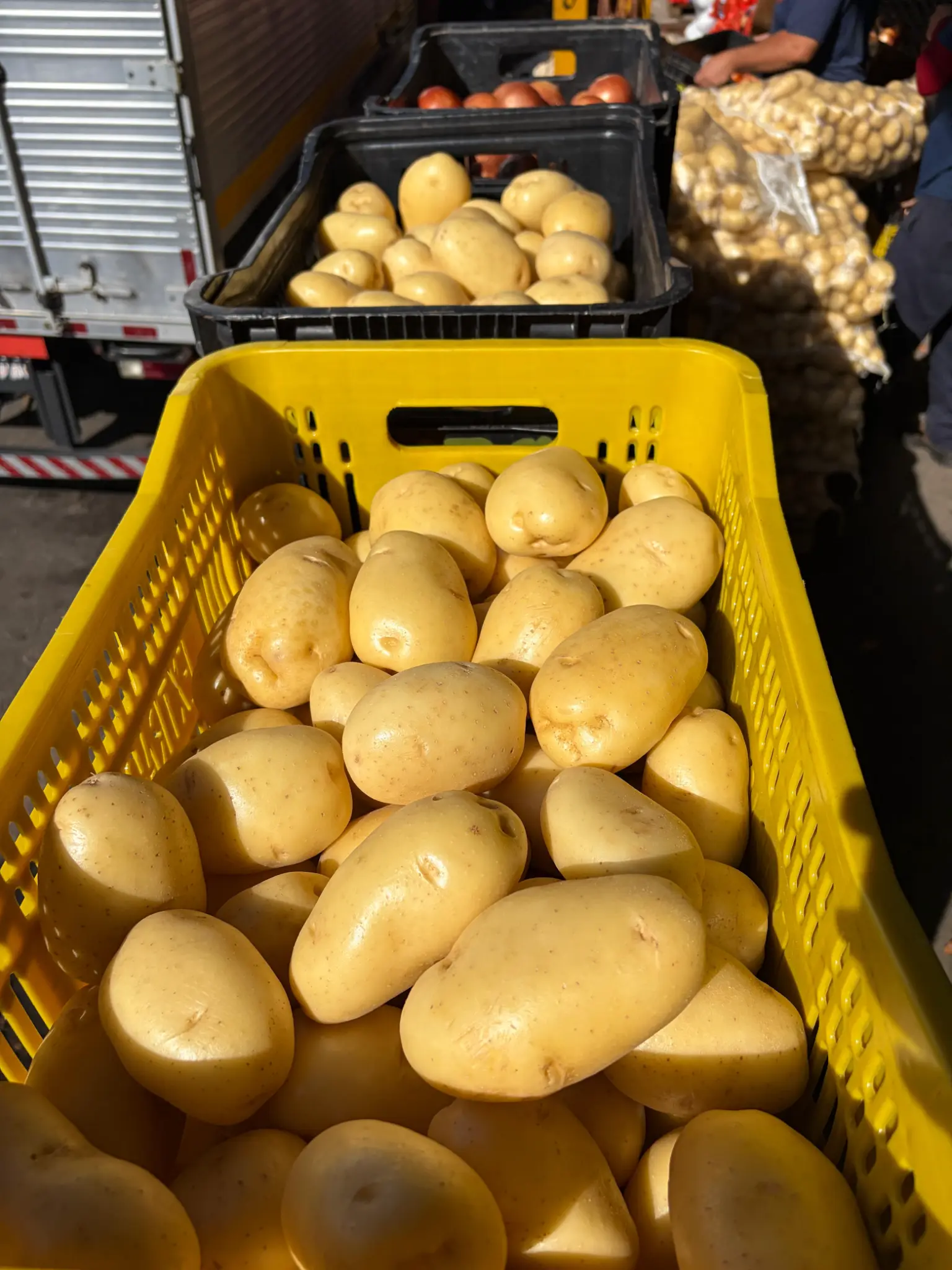 Batata