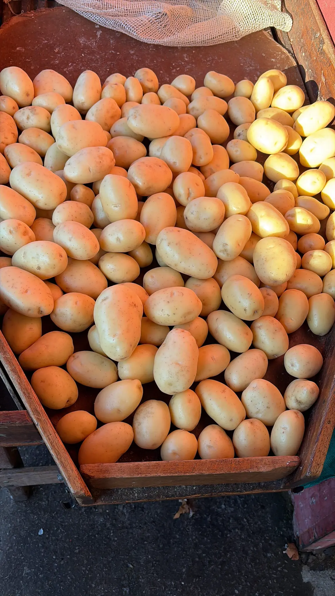 Batata