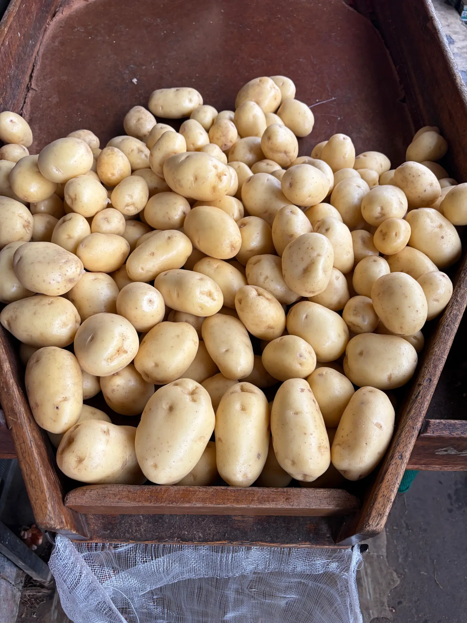 Batata selecionada