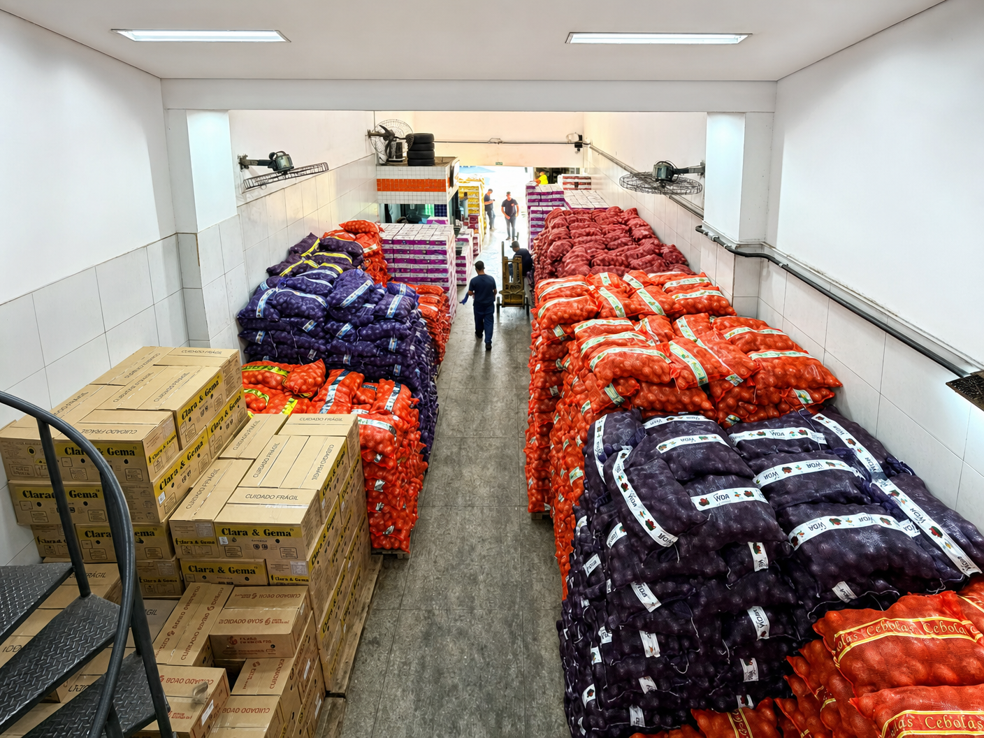 Estoque interno real da Campo Vitória Mundo com sacarias de cebolas e caixas para distribuição