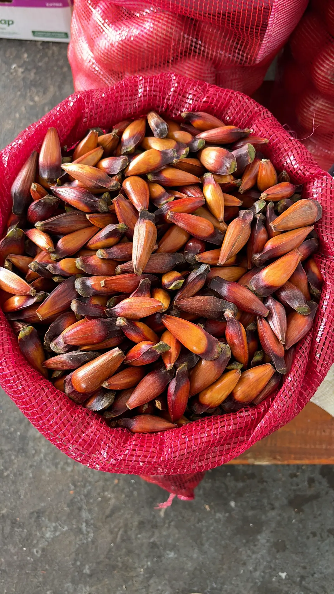 Pinhão